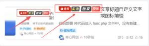 文章标题自定义文字或图标前缀 - 青心资源站