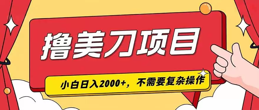 撸美刀，单日收入2000+，小白可做|青心网创站