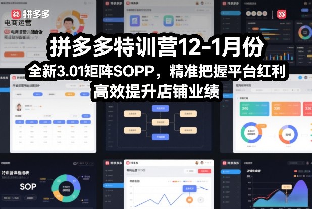 拼多多特训营12-1月份，全新3.01矩阵Sop，精准把握平台红利，高效提升店铺业绩青心网创青心网创站