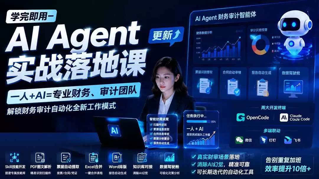 （20625期）【无水印】学完 即用-AI Agent实操落地课-更新0924：一人 + AI=专业财务、审计团队，解锁财务审计自动化全新工作模式 - 青心资源站
