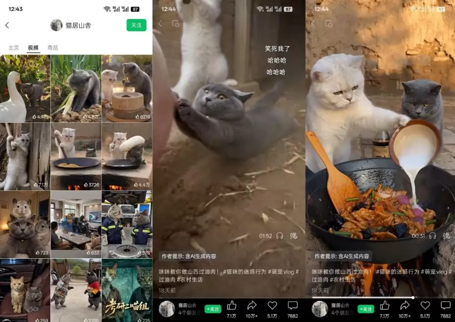 猫咪慢生活短视频教学，AI搞笑萌宠赛道，视频号分成+精选独家+伙伴计划+商单收徒等多种变现方式 - 青心资源站