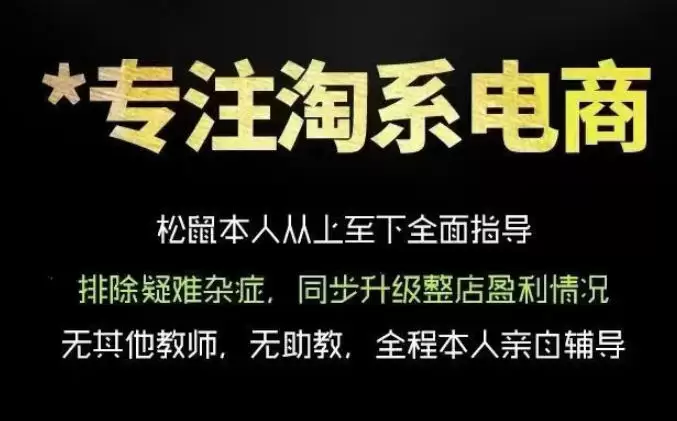 松鼠会电商VIP课程，从基础布局到高阶优化，助你掌握淘宝运营逻辑，提升店铺流量与转化（更新0809）|青心网创站