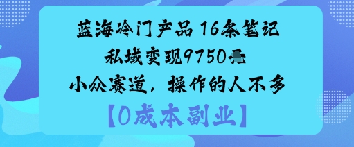 蓝海冷门产品：16条笔记私域变现9750米小众赛道，操作的人不多-青心网创站