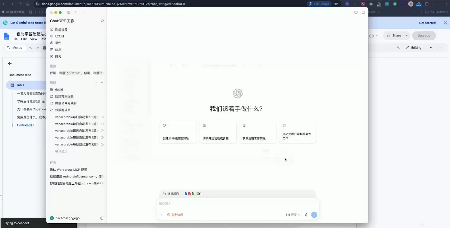 大卫·外贸人Codex + WordPress建站课(更新8月)|青心网创站