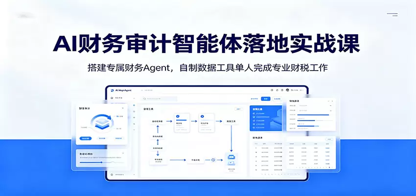 AI财务审计智能体落地实战课：搭建专属财务Agent，自制数据工具单人完成专业财税工作|青心网创站