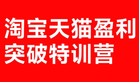 玺承·淘宝天猫盈利突破特训营(25年12月线下课)【音频+字幕】青心网创青心网创站