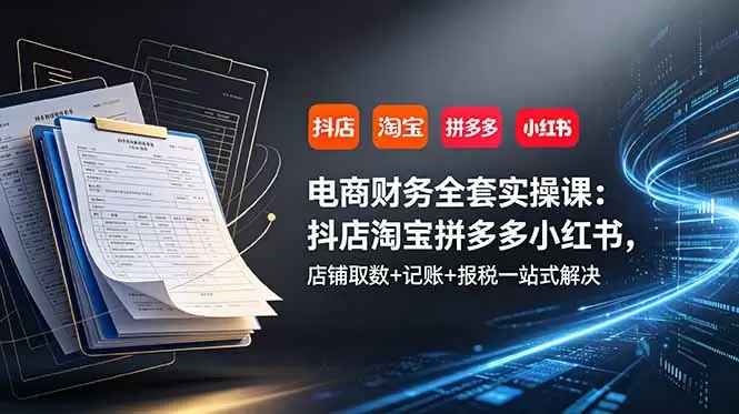 电商财务全套实操课：抖店淘宝拼多多小红书，店铺取数+记账+报税一站式解决|青心网创站