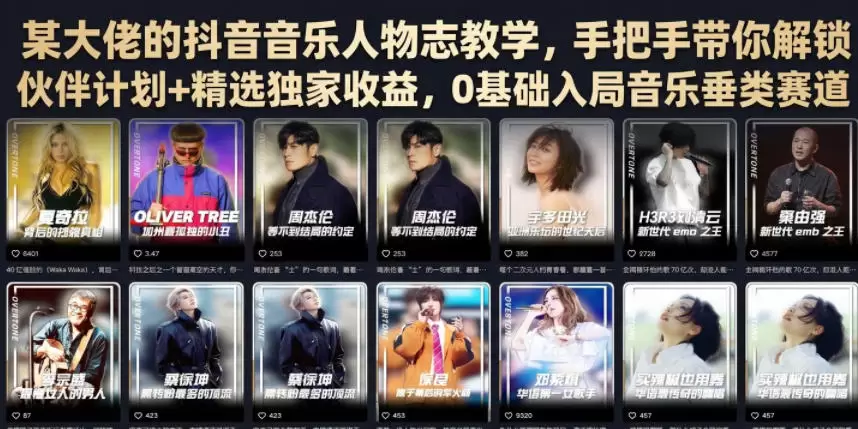某大佬的抖音音乐人物志教学，手把手带你解锁伙伴计划+精选独家收益，0基础入局音乐垂类赛道|青心网创站