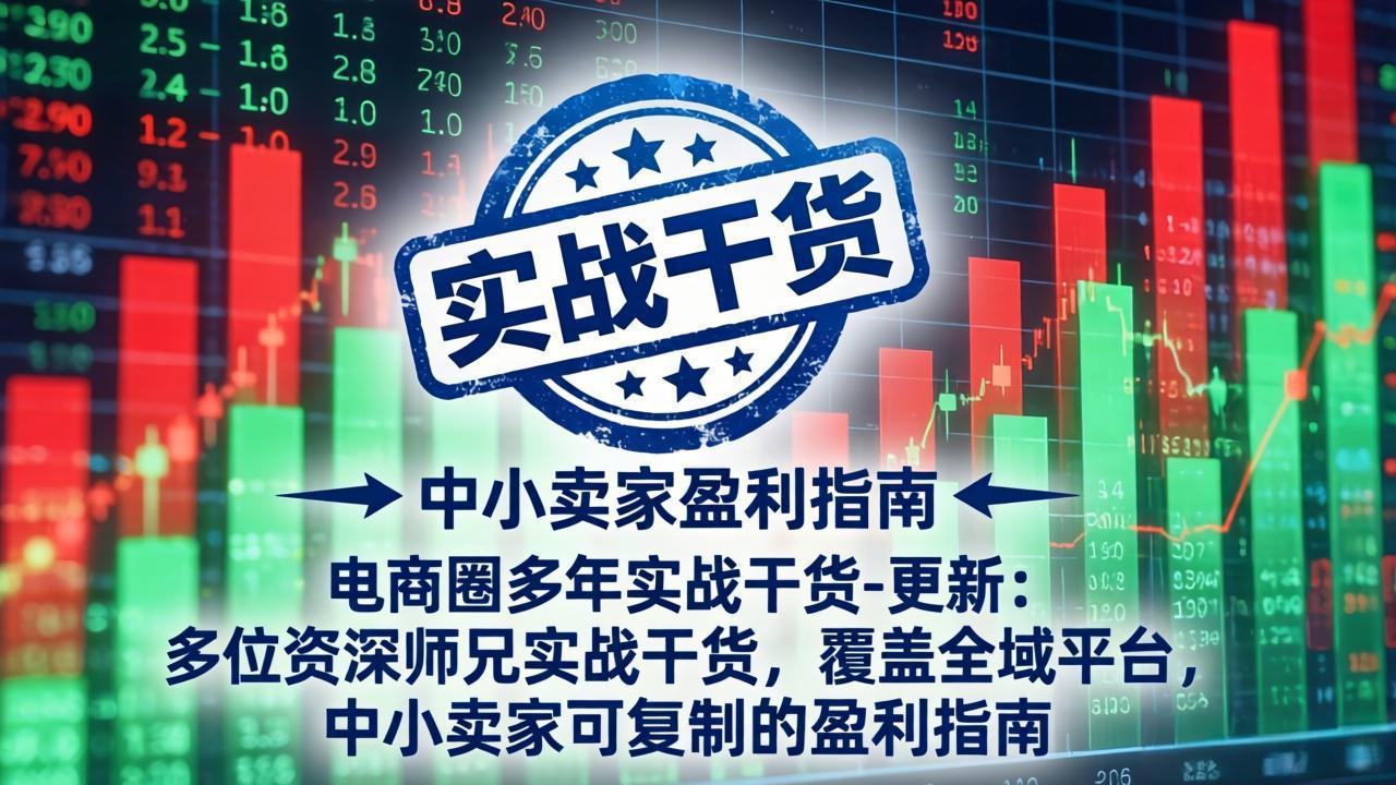电商圈多年实战干货-更新4月：多位资深师兄实战干货，覆盖全域平台，中小卖家可复制的盈利指南|青心网创站