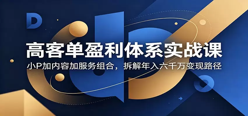 高客单盈利体系实战课：小P加内容加服务组合，拆解年入六千万变现路径|青心网创站