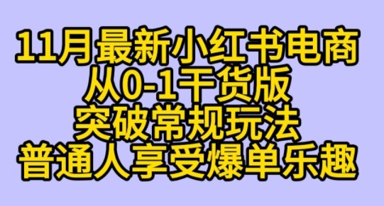 K总部落《11月小红书电商最新玩法从0-1突破平台流量》-青心网创站