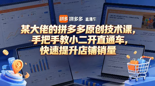 某大佬的拼多多原创技术课，手把手教小二开直通车，快速提升店铺销量|青心网创站