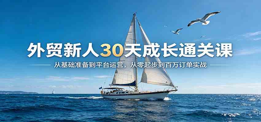 外贸新人30天成长通关课：从基础准备到平台运营，从零起步到百万订单实战|青心网创站