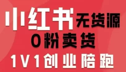 小红书无货源0粉电商课，开店准备、选品策略、笔记撰写、视频剪辑、数据分析、账号打造、资料文档（更新26年4月20日）|青心网创站
