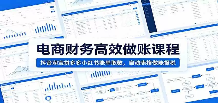 电商财务高效做账课程：抖音淘宝拼多多小红书账单取数，自动表格做账报税|青心网创站
