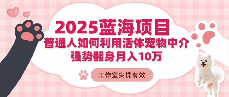 (16489期)2025蓝海项目:普通人如何利用活体宠物中介,强势翻身月入10万 (16489期)2025蓝海项目:普通人如何利用活体宠物中介,强势翻身月入10万