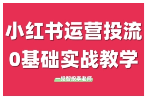 小红书运营投流，小红书广告投放从0到1的实战课，学完即可开始投放（更新26年）青心网创青心网创站