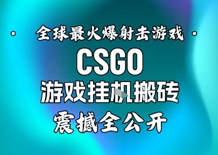 【年底大揭秘】基于全球最火爆的射击CSGO游戏挂G搬砖，日入5张+，震撼公开-青心网创站