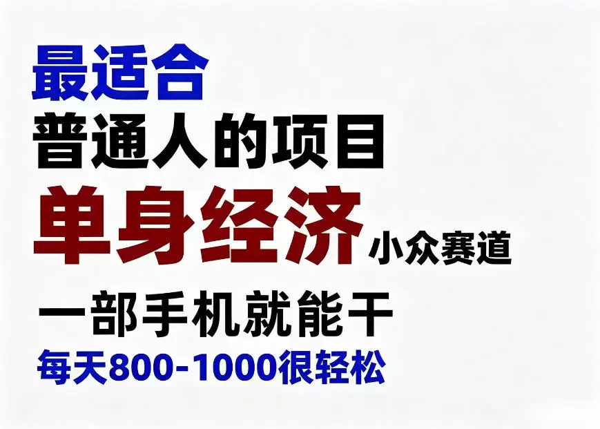 身经济小众赛道，一部手机就能干，每天搞个800-1000很轻松，最适合普通人的项目【揭秘】