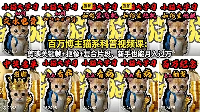 百万博主猫系科普视频课：剪映关键帧+抠像+复合片段，新手也能月入过万|青心网创站