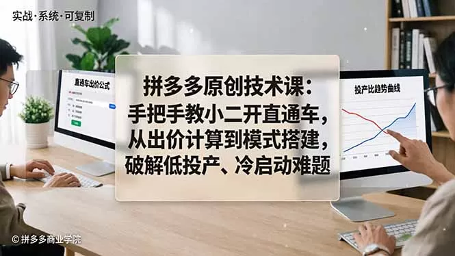 拼多多原创技术课：手把手教小二开直通车，从出价计算到模式搭建，破解低投产、冷启动难题|青心网创站