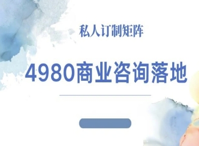 4980商业咨询师落地课程-ip运营高客单教程-青心网创站