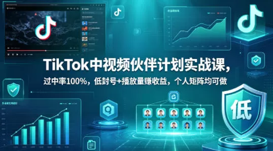 TikTok中视频伙伴计划实战课，过中率100%，低封号+播放量賺收益，个人矩阵均可做|青心网创站
