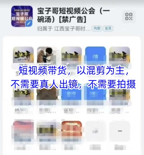 宝子哥头部团队短视频带货,以混剪为主,不需要真人出镜,不需要拍摄【更新26年1月】青心网创青心网创站