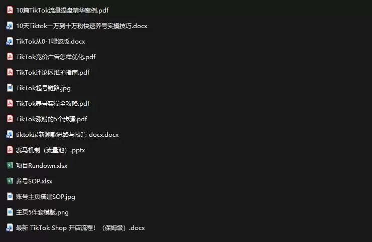 2026TikTok海外掘金实战课——养号SOP+爆款公式+选品测款+广告投流+Shop开店，跑通海外运营全链路 - 青心资源站