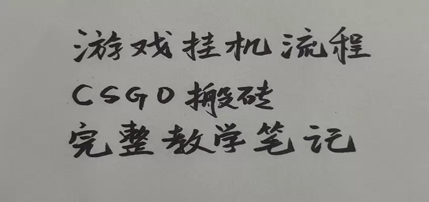 游戏挂机全流程笔记分享，CSGO游戏搬砖，小白看了当天学会见收益|青心网创站