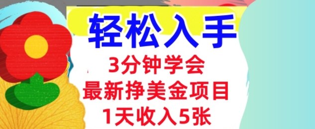 最新挣美金项目，日入5张，3分钟学会，小白轻松入手（长久的被动收入）-青心网创站