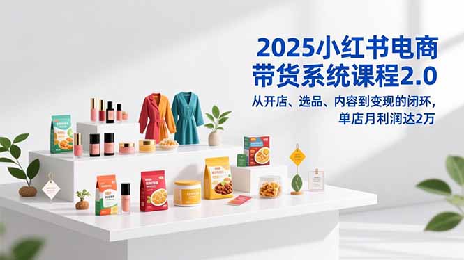 2025小红书电商带货系统课程2.0,从开店、选品、内容到变现的闭环,单店月利润达2万-青心网创站