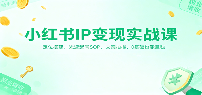 小红书IP变现实战课：定位搭建，光速起号SOP，文案拍摄，0基础也能赚钱-青心网创站