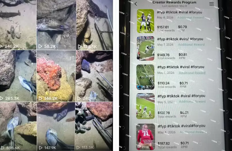 Tiktok中视频解说教程，体育+温情文案双赛道实操教程一站式带你落地，教你出海賺美刀|青心网创站
