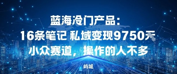 蓝海冷门产品:16条笔记私域变现9750米,小众赛道,操作的人不多-青心网创站