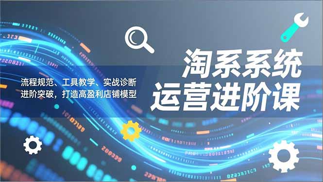 淘系系统运营进阶课2.0，流程规范、工具教学、实战诊断，进阶突破，打造高盈利店铺模型青心网创青心网创站