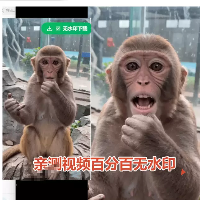 豆包无水印下载终于来了！支持豆包图片/视频，目前唯一免费使用的插件，浏览器拓展