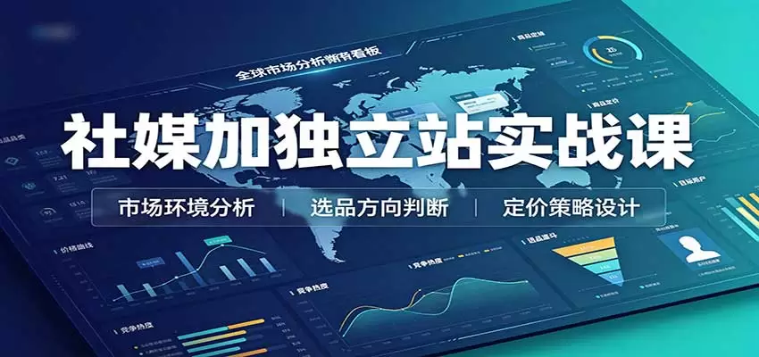 社媒加独立站实战课：市场环境选品定价，社媒运营建站，私域网红营销教学|青心资源站
