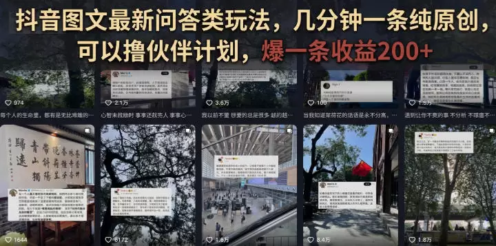 抖音图文最新问答类玩法，几分钟一条纯原创，可以撸伙伴计划，爆一条收益200+|青心网创站