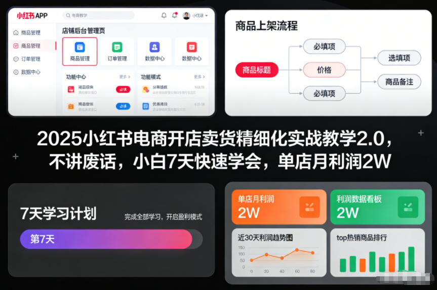 2025小红书电商开店卖货精细化实战教学2.0,不讲废话,小白7天快速学会,单店月利润2W-青心网创站
