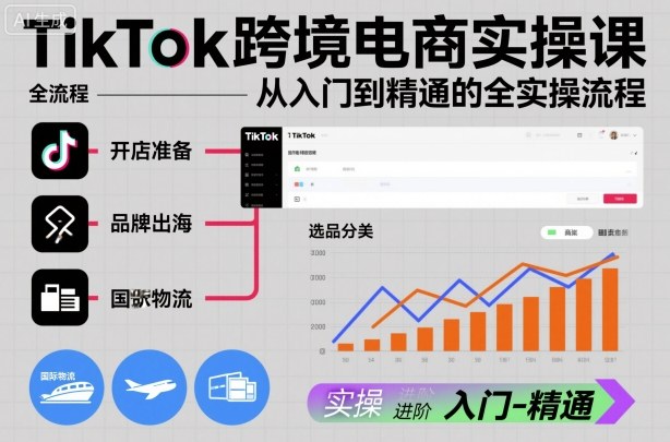 TikTok跨境电商实操课,从入门到精通的全实操流程-青心网创站