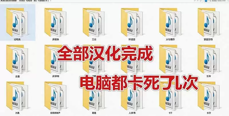 （20294期）请称爆硬盘！Adobe 和 达芬奇 官方提供的高品质免版税音效库， 10000+ 免费商用音效合集，已离线打包 - 青心资源站