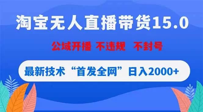 淘宝无人直播带货15.0，不封号，不违规，公域玩法，首发全网日入2000+|青心网创站