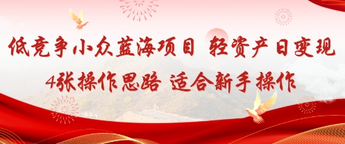 低竞争小众蓝海项目,轻资产日变现4张的操作思路适合新手操作