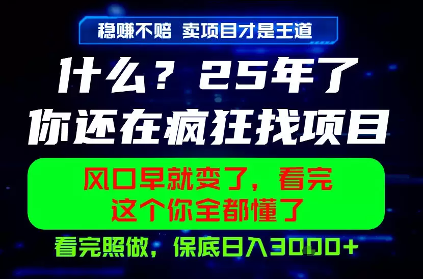 26年，请不要疯狂的找项目做了！卖项目才是真的稳賺不赔，看完照做，保底日入1k+【揭秘】|青心网创站