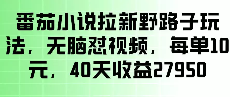 番茄小说拉新野路子玩法，无脑怼视频，玩法简单、见效快，每单10米，40天收益27950|青心网创站