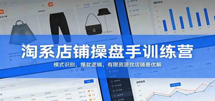 淘系店铺操盘手训练营：模式识别，爆款逻辑，有限资源找店铺最优解青心网创青心网创站