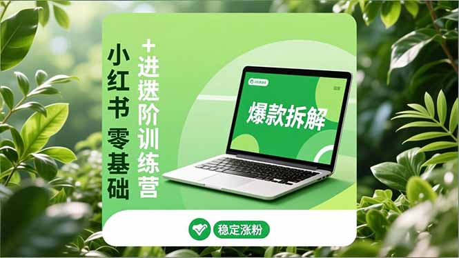 小红书零基础+高阶训练营:安全养号、爆款拆解、长效运营,实现稳定涨粉与变现-青心网创站