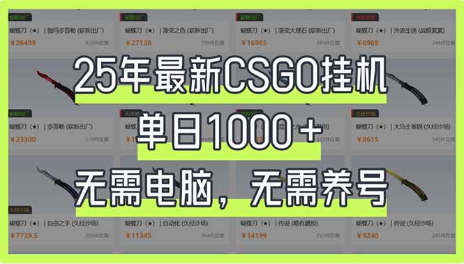 （14178期）25年最新CSGO挂机系统，单日1000+，无需电脑，无需养号，0基础可上手-青心网创站