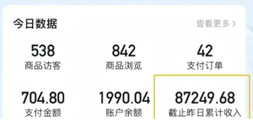 2026新手也能操作的带货玩法，用这个方法零门槛，轻松月入10000+|青心网创站